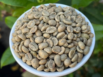 《新春報喜咖啡系列：哥倫比亞 Antioquia 安提奧基亞省 Finca Camelia 山茶花莊園 筒倉遮陰乾燥☀ 水洗特色微批次》8