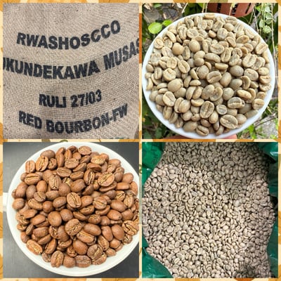 《甜美系列咖啡：盧安達 北部省 咖啡之家/茹莉處理站 🍇洛柚紅韻🌸水洗特色咖啡》10