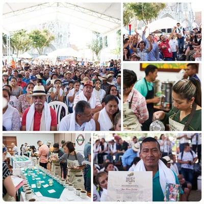 熊團長每月特惠咖啡｜哥倫比亞 考卡山谷 布里薩斯莊園/月柚香 水洗咖啡熟豆 (買一送一)4