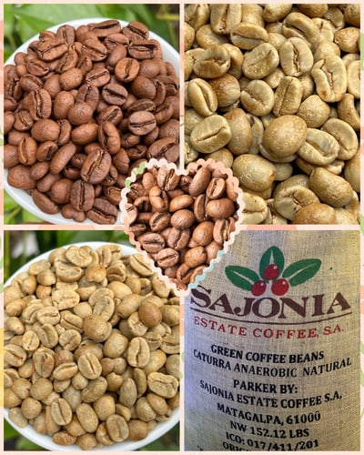 《獨家風味咖啡系列： 尼加拉瓜 希諾特加 Finca Linda Vista 琳達維斯塔莊園—莓妍荔語 隧道遮蔭慢速乾燥 ☀️雙重發酵日曬咖啡》6