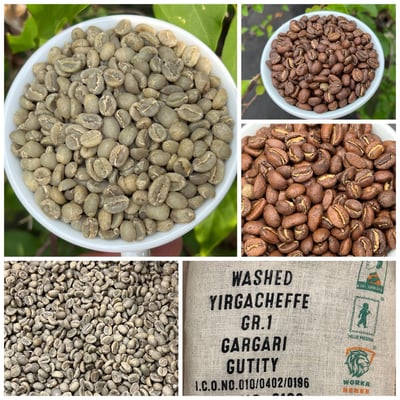 《鎮店之寶咖啡系列： 衣索比亞 Yirgacheffe 耶加雪菲 班可果丁丁 超高密度/水洗批次 Gr.1 74110單一品種 茉香蜜桃小調》2