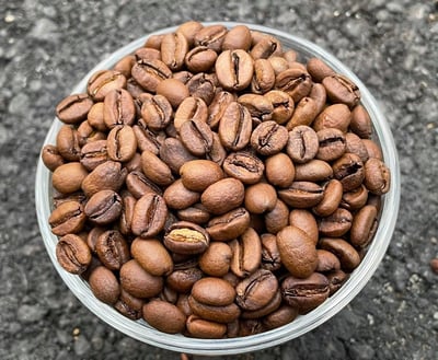 馬到成功藝伎咖啡｜衣索比亞 古吉 千里馬日曬藝伎Geisha 咖啡熟豆買一磅送一磅優惠8