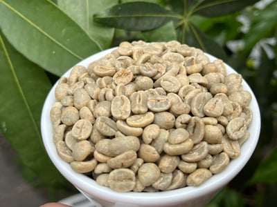 《特色風味咖啡系列：墨西哥 Chiapas 恰帕斯 Fraylesca 弗雷萊斯卡 原住民合作社 水洗特色批次—英式早茶》6