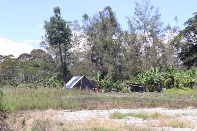 熊團長每月特惠咖啡｜巴布亞新幾內亞 吉瓦卡/達科小農️ 小藍山水洗咖啡熟豆 (買一送一)4