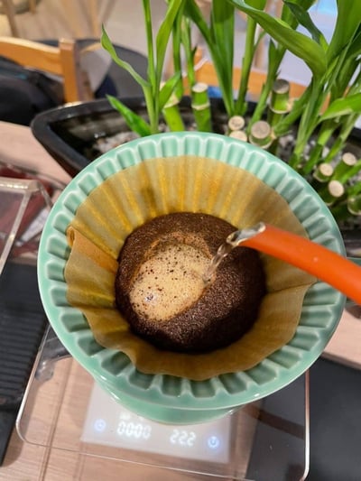 熊團長每月特惠咖啡｜瓜地馬拉 科班雨林 聖塔伊莎貝爾 水洗咖啡熟豆 (買一送一)5