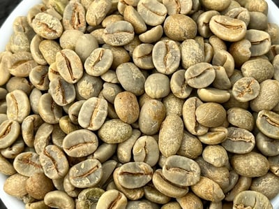 《老巴傳奇咖啡：巴西 Cerrado Mineiro產區 Rio Brilhante 明河莊園 Catuai 99 卡杜愛久久/當地特色品種 ☀日曬咖啡：巧克力葡萄球》11