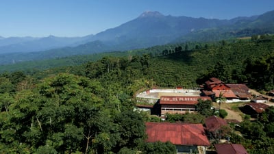 《★CoE卓越杯系列★：瓜地馬拉 聖馬科斯 Finca El Platanillo 普拉塔尼洛莊園 水果炸彈 黑果皮日曬特色咖啡☀》5