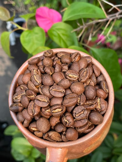 熊團長精選系列：肯亞 穆蘭嘉 新基里提農民合作社 產區精選/水洗特色咖啡—森之莓比賽級微批次9