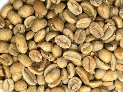 《老司機咖啡系列：衣索比亞 耶加雪菲 彩虹果叮叮 嘎嘎哩處理站 果香日曬/特別準備批次》7