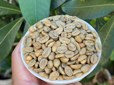 光輝十月咖啡展優惠｜BoP咖啡熟豆幸福A+B專案組合 (限時限量)7