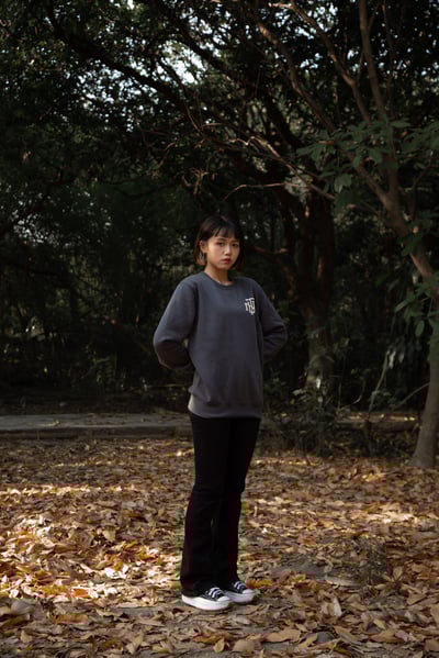 NTU 隊徽款大學Ｔ－鐵灰Ｓ、Ｍ 號2