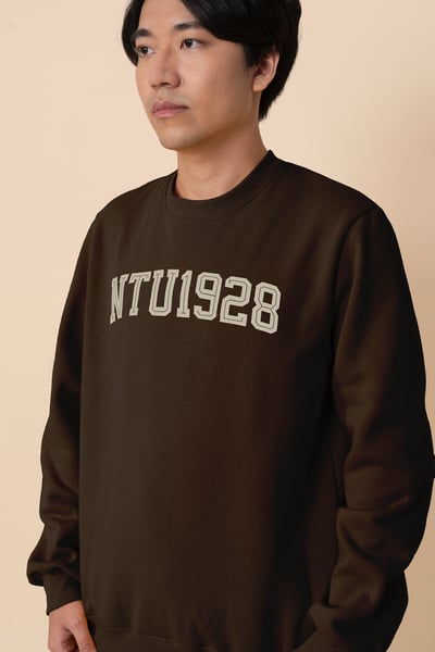 NTU 設計大學Ｔ－褐色Ｓ號2
