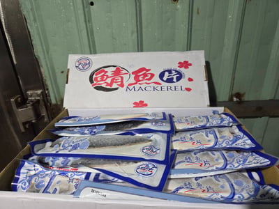 挪威薄鹽鯖魚片19P23