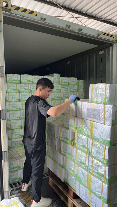 最高品質海虎蝦12p8