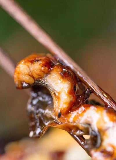 外銷等級嘟嘟好蒲燒鰻7