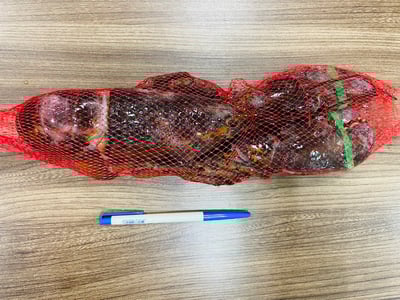 巨無霸波士頓龍蝦9