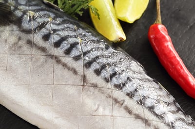 挪威薄鹽鯖魚片19P6