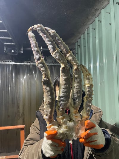 鱈場蟹腳4