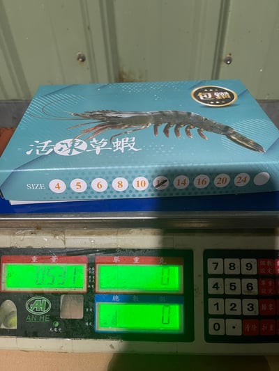 包鑽活凍草蝦12P14