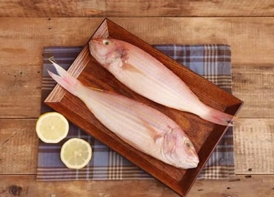 西太平洋金線魚550g5