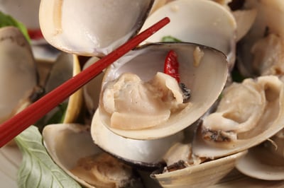 現流台南七股文蛤4