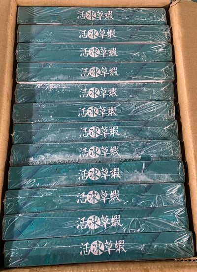 高品質馬來包鑽活凍草蝦10P12