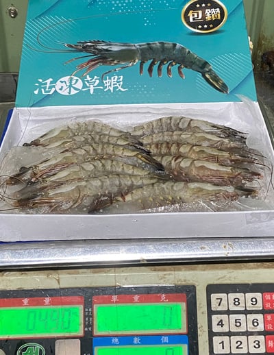 高品質馬來包鑽活凍草蝦10P10
