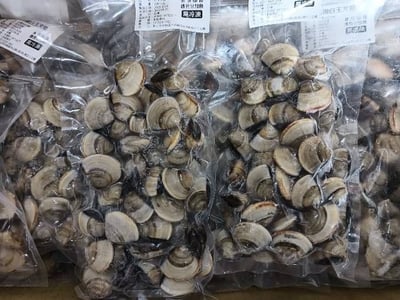 現流台南七股文蛤10