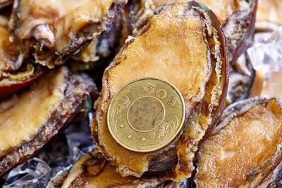 活體急速冷凍半殼鮑魚26~30P7