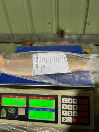 冷凍鮭魚菲力切塊12