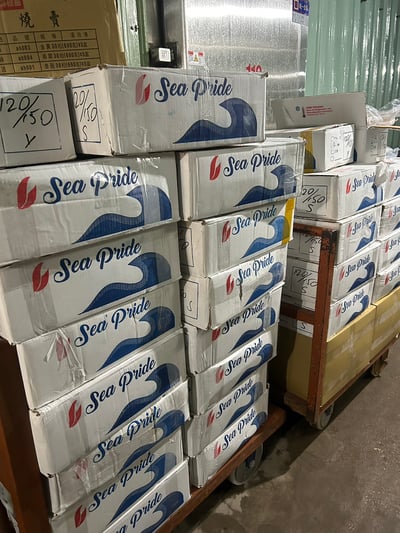 鮮凍野生白口魚6