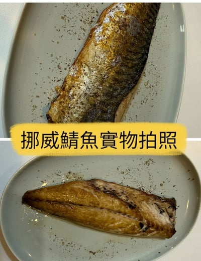 挪威薄鹽鯖魚片19P2