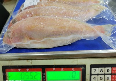 西太平洋金線魚550g7