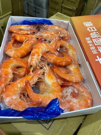 馬來活煮熟白蝦31/4011