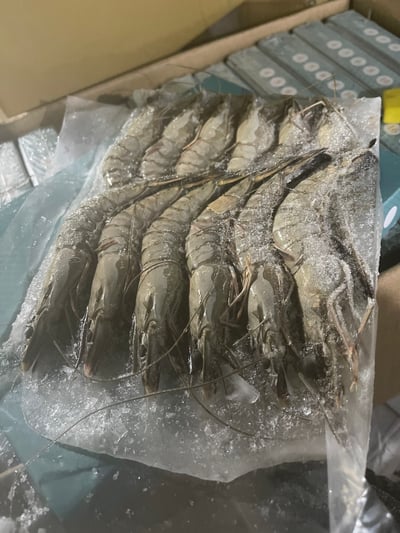 包鑽活凍草蝦12P11