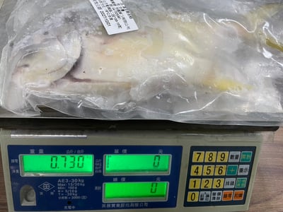 台灣富貴黃金鯧5