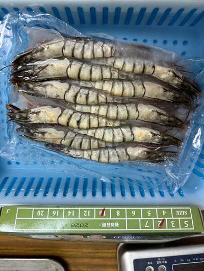 馬來西亞活凍草蝦10P8