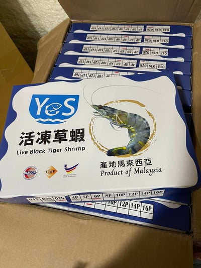 YES大尾6P海草蝦6