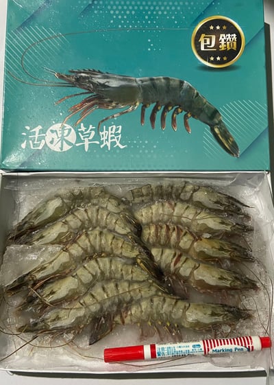高品質馬來包鑽活凍草蝦10P9