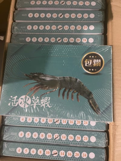 包鑽活凍草蝦12P1