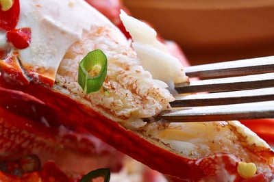 野生三點蟹7