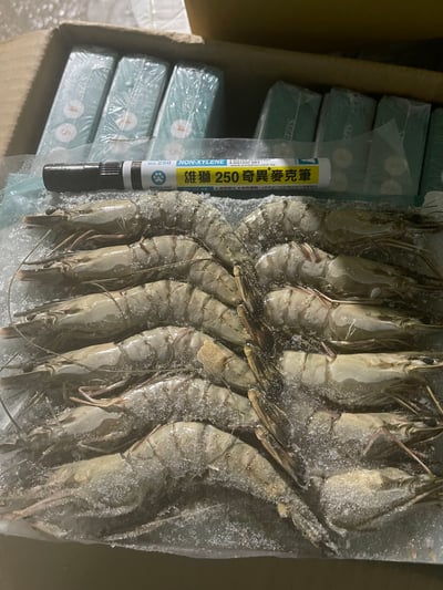 包鑽活凍草蝦12P12