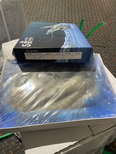 五星活凍白蝦21/254