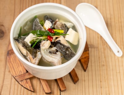 高山泉水養殖鱘龍魚2