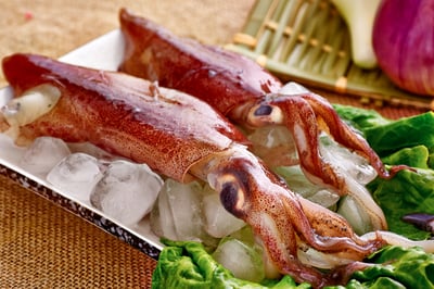 東北角船凍一排大卷9