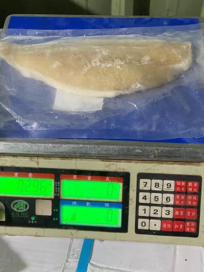 冷凍劍齒鰈魚片10