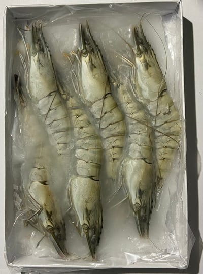 嚴選馬來活凍海老草蝦6P18