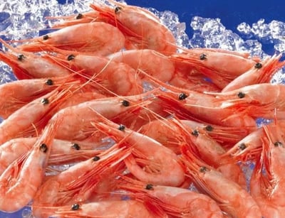 北極甜蝦2