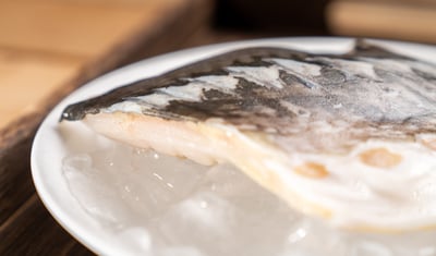 高山泉水養殖鱘龍魚9