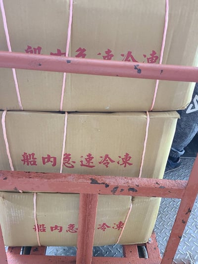 東北角船凍一排大卷13